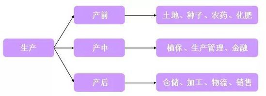 性感的农业:云洋科技的产业互联网这么玩